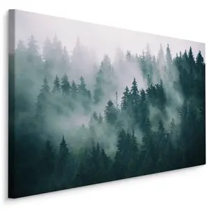 Muralo OBRAZ NA PLÁTNĚ Les v Mlze Příroda Krajina 3D 40x30