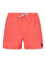 Pánské plážové šortky Protest PRTSTILO