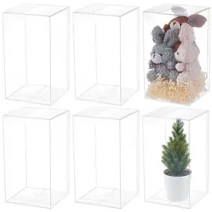 Foldable PET Packing Boxes
