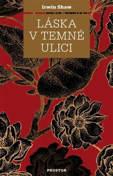 Láska v temné ulici - Irwin Shaw
