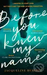 Before You Knew My Name ('An exquisitely written, absolutely devastating novel' Red magazine) - kniha z kategorie Detektivky, thrillery a horory