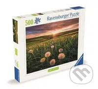 Pampelišky v západu slunce - puzzle z kategorie Přírodní scenérie