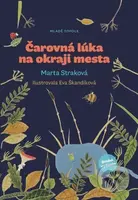 Čarovná lúka na okraji mesta - Marta Straková - kniha z kategorie Pohádky