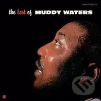 Muddy Waters: Best Of Muddy Waters   LP - Muddy Waters