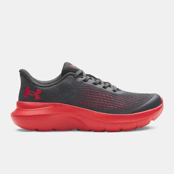 Boys' shoes Under Armour UA BPS Rogue 5 AL - Boys