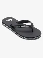 Boys' flip-flops Quiksilver MOLOKAI CORE