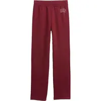 GAP V-FA DB PANT Chlapčenské tepláky, vínová, veľkosť