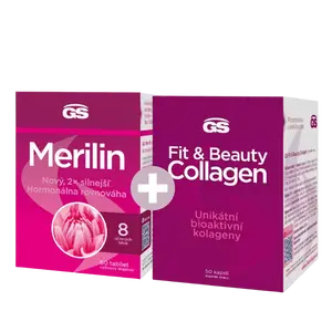 GS Merilin, 60 tablet
