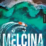 Mělčina - Holly Craig - kniha z kategorie Detektivky