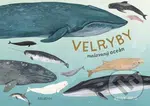 Velryby (Malovaný oceán) - Kelsey Oseid - kniha z kategorie Encyklopedie