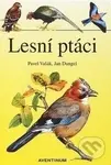 Lesní ptáci - Rudolf Hrabák