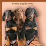 Dobrman - Ivana Lupečková - kniha z kategorie Odborné a naučné
