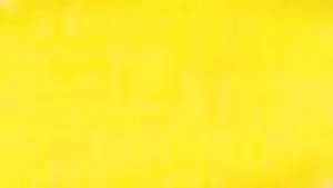 Akrylová barva Phoenix 75ml – 209 Žlutá primární