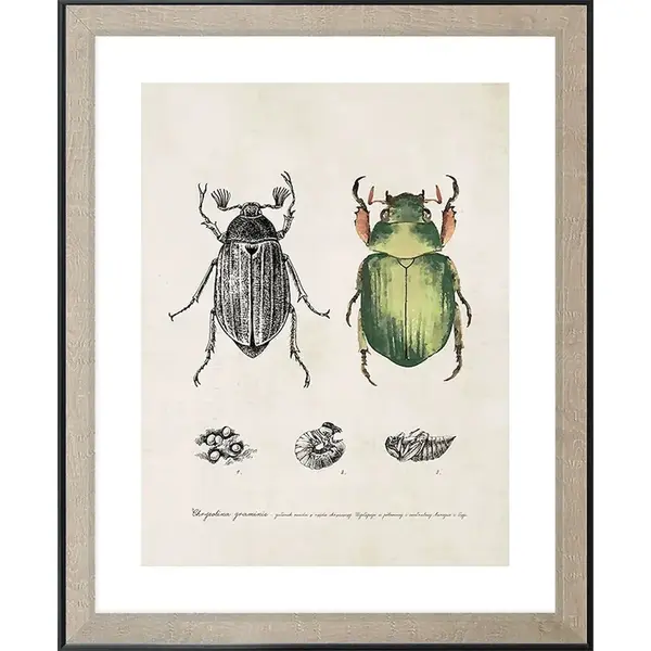 Nástěnná dekorace v rámu 40 x 50 cm