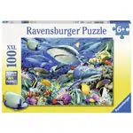 Puzzle Žraločí útes 100 dílků