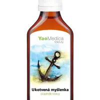 Yao Medica Ukotvená myšlenka 042 50 ml