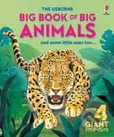 Big Book of Big Animals - Hazel Maskell