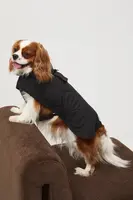 Bunda pro mazlíčka Medicine