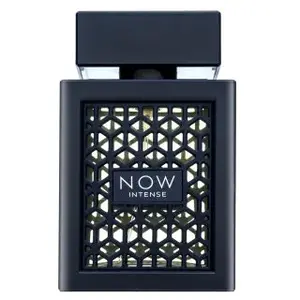 Rave Now Intense parfémovaná voda pre mužov 100 ml