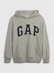 GAP Chlapecká Dětská mikina campus logo Gap 843266-01 Velikost: S