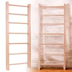 Žebřiny inSPORTline Steadyline 250x80 cm