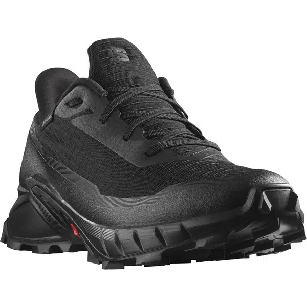 Salomon Alphacross 5 GTX EU 42, Black/Black/Ebony Pánské boty