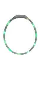 Petwant multicolor svítící obojek