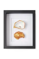 Nástěnná dekorace v rámu Maria el Mar Double Oyster 27 x 22 cm