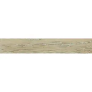 Dlažba Provenza Alter Ego miele 20x120 cm mat EGNV