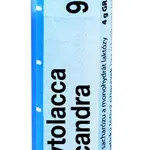 Boiron PHYTOLACCA DECANDRA CH9 granule 4 g