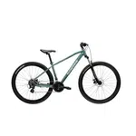 Horské kolo Kross Hexagon 2.0 29" Gen 008 M (17", 165-175 cm) zelená / stříbrná / lesk