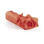 480 x Hedvábný papír v balení, 50x75cm, tmavě oranžový | RAJA