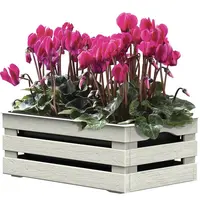 Okenný kvetináč Tina 1 22x15,5x10,5