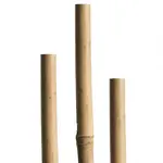 Bambusová tyč 60 cm 5/7 mm 10 ks 05606