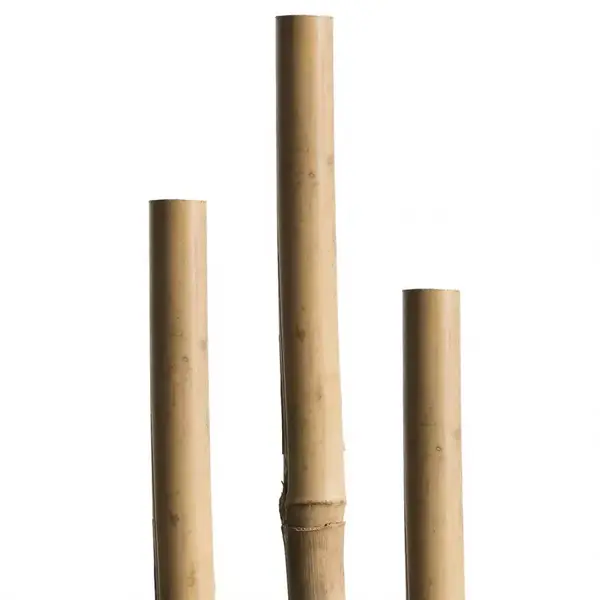 Bambusová tyč 60 cm 5/7 mm 10 ks 05606