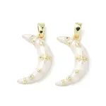 Brass Micro Pave Cubic Zirconia with Enamel Pendants