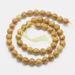 Natural Petrified Wood Beads Strands