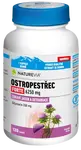 NATUREVIA Pestrec forte 120 kapslí
