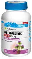 NATUREVIA Pestrec forte 120 kapsúl