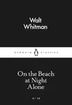 On the Beach at Night Alone - Walt Whitman