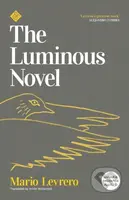 The Luminous Novel - Mario Levrero - kniha z kategorie Společenská beletrie
