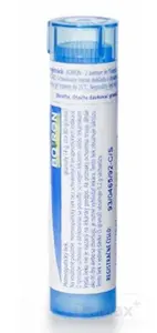 SPONGIA TOSTA CH9 1x4 g