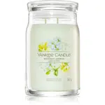 Yankee Candle Midnight Jasmine vonná svíčka I. Signature 567 g