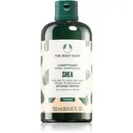 The Body Shop Shea Conditioner kondicionér pro suché a křehké vlasy 250 ml