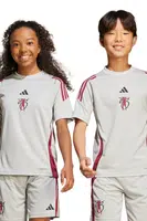 Dětské tričko adidas Performance šedá barva, s aplikací, JX1967