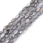 Natural Freshwater Shell Dyed Beads Strands
