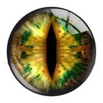 Mixed Animal Eye Pattern Glass Cabochons