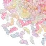 Transparent Crackle Acrylic Beads
