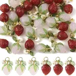 30Pcs 2 Colors Handmade Lampwork & Acrylic & Resin Pendants