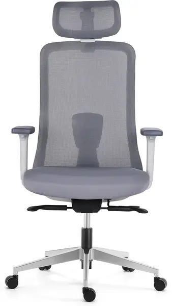 LTC Ergonomická kancelárska stolička APOLLO, sivá